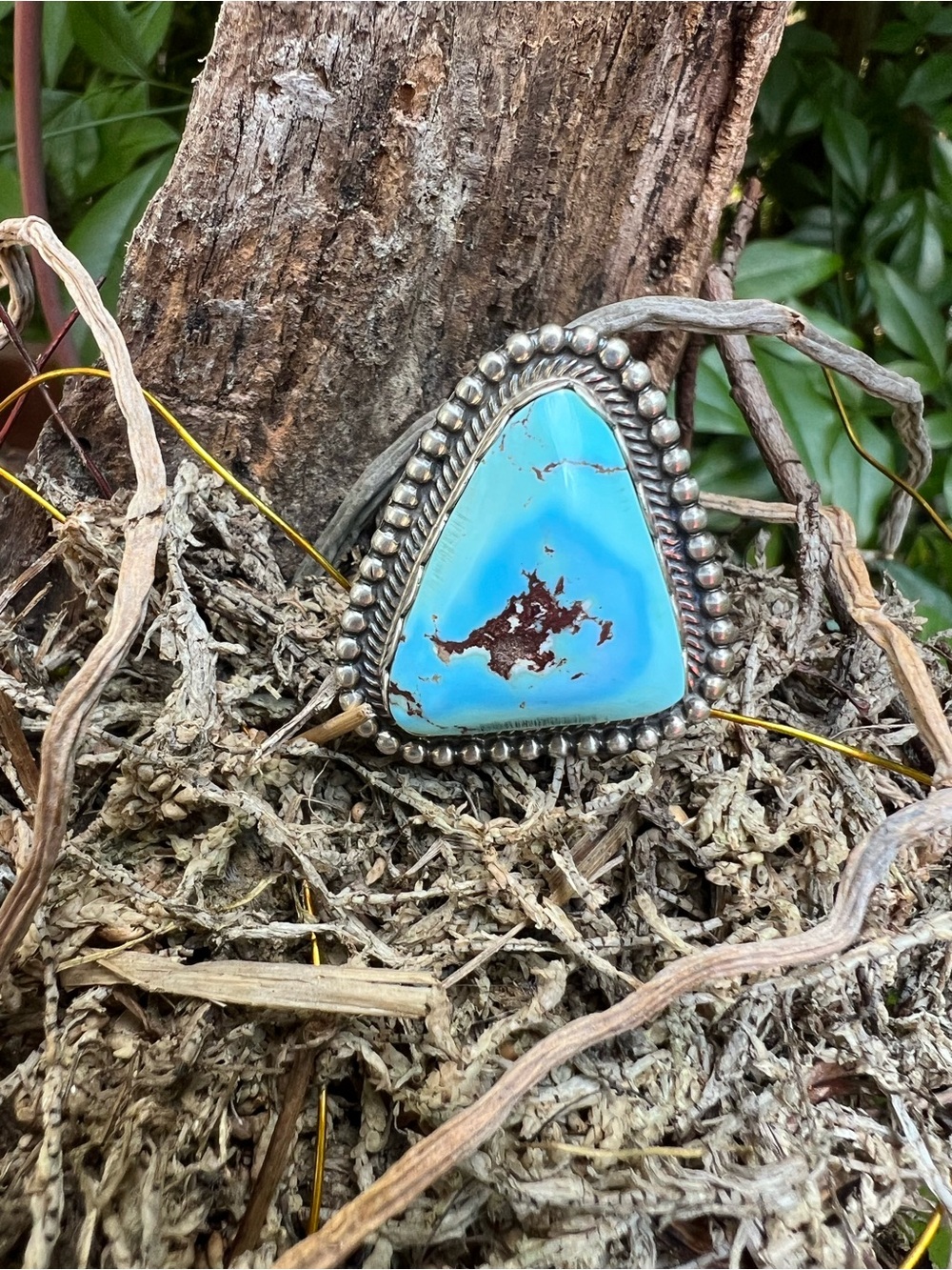 Daniel Benally Navajo Sonoran Gold Turquoise Sterling Ring Sz 9